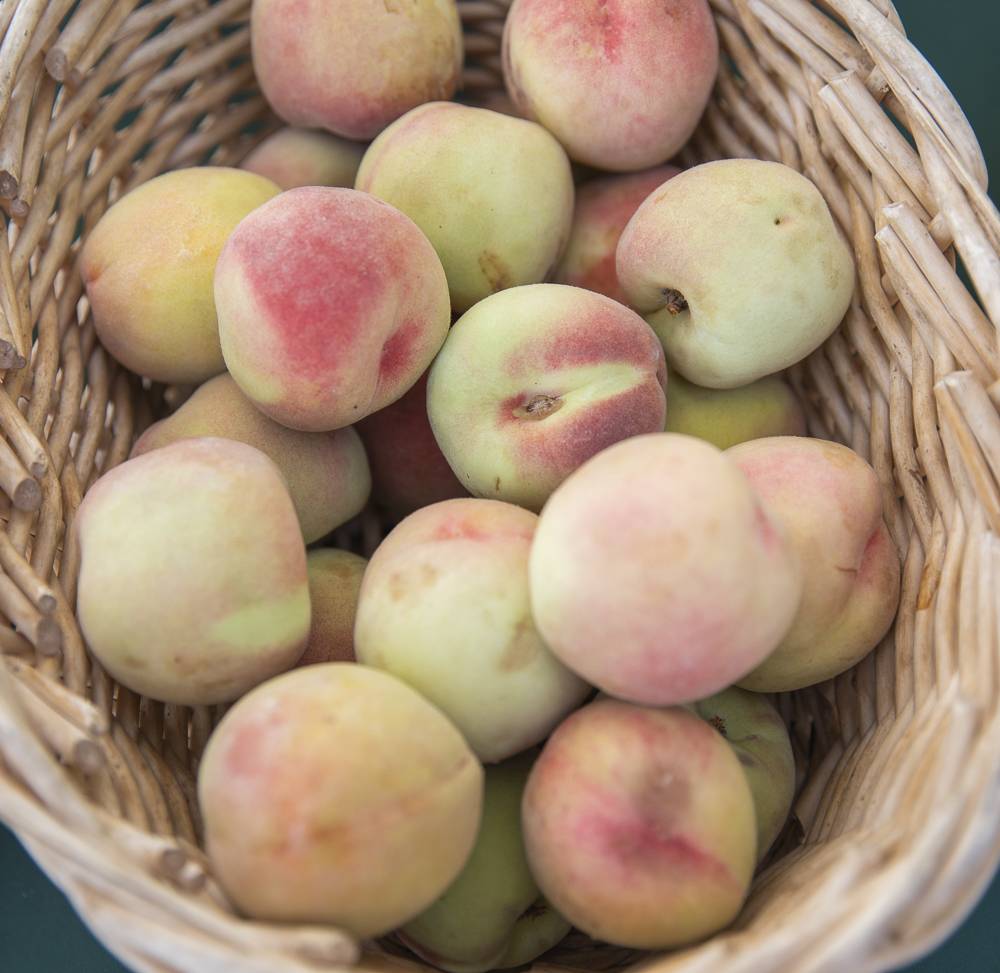 Healthy Roots Cafe | restaurant | 909 W Vineyard Rd A, Phoenix, AZ 85041, USA | 6029890590 OR +1 602-989-0590