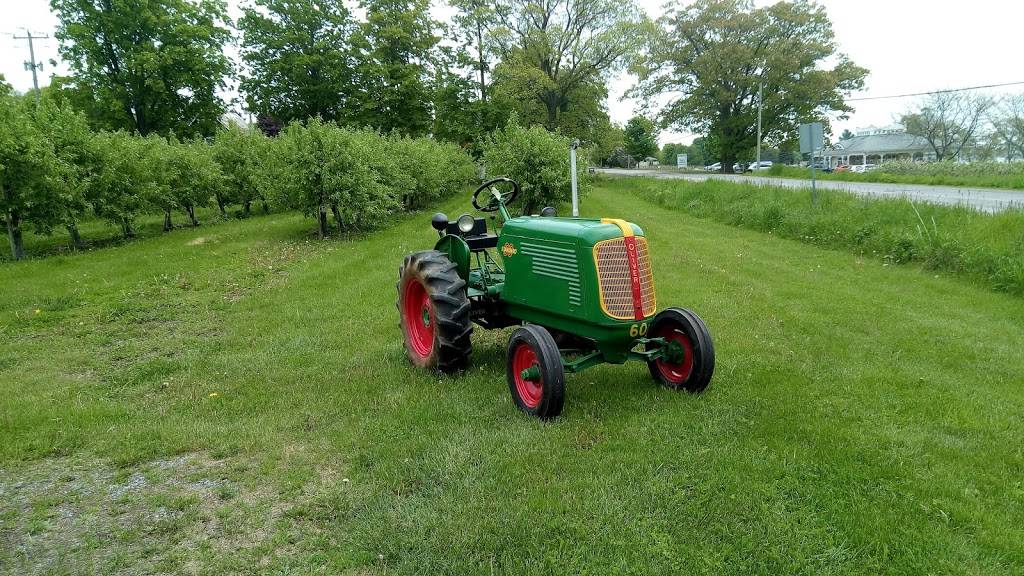 Cressy Mustard Co. | restaurant | 2983 Prince Edward County Rd 8, Prince Edward, ON K0K, Canada | 6136616629 OR +1 613-661-6629