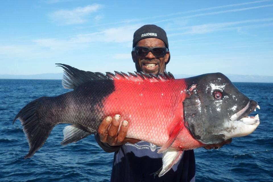 22nd Street Landing Sportfishing | meal takeaway | 141 W 22nd St, San Pedro, CA 90731, USA | 3108328304 OR +1 310-832-8304