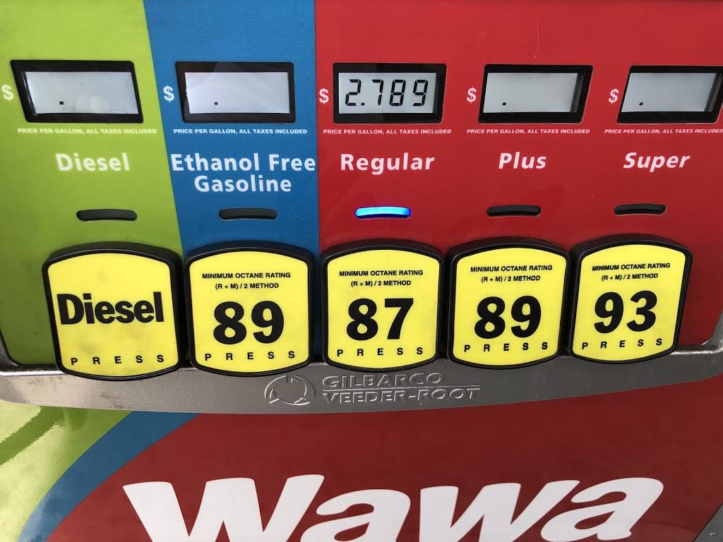 Wawa | cafe | 26508 US Hwy 19 N, Clearwater, FL 33761, USA | 7273148002 OR +1 727-314-8002