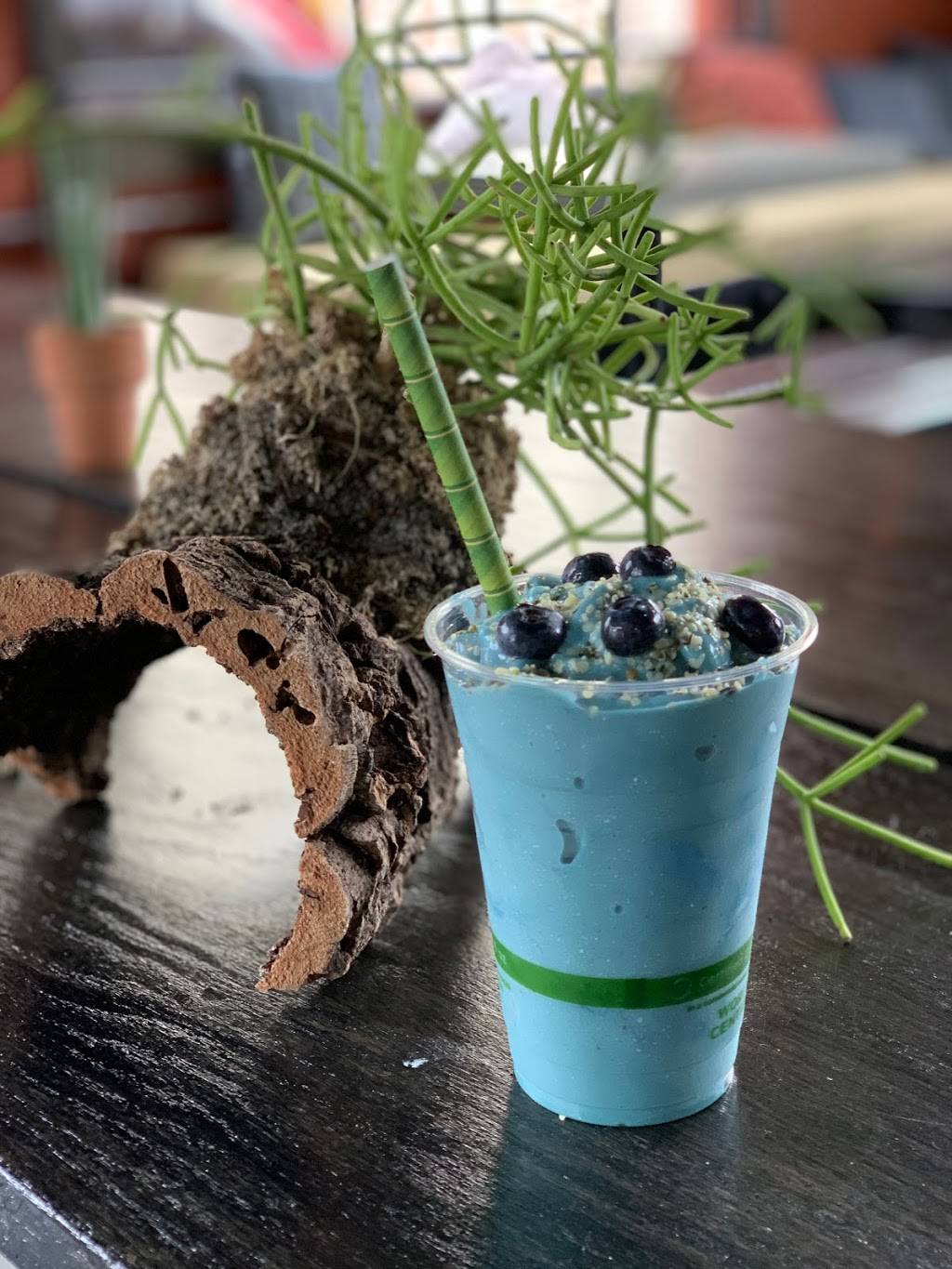 BOL | restaurant | 318 Main St, Wakefield, RI 02879, USA | 4015157672 OR +1 401-515-7672