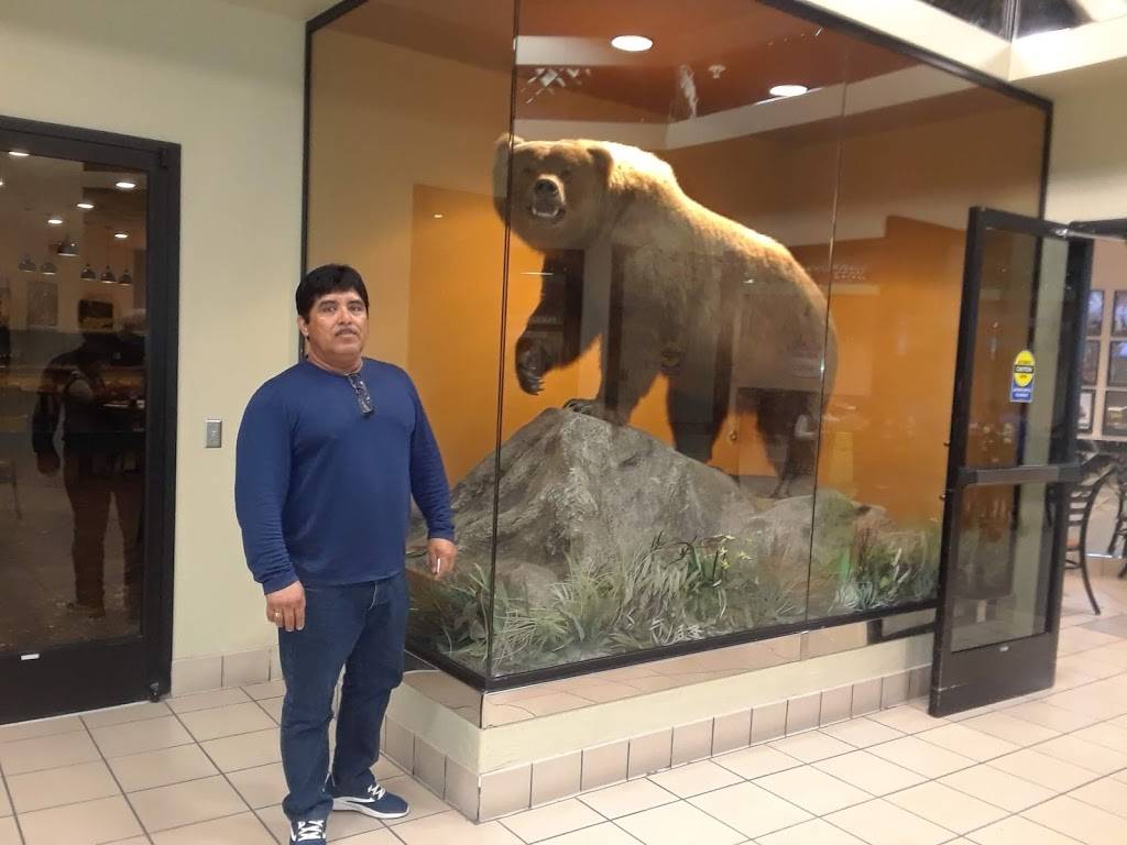 Eagle Mountain Casino | cafe | 681 S Reservation Rd, Porterville, CA 93257, USA | 8009033353 OR +1 800-903-3353