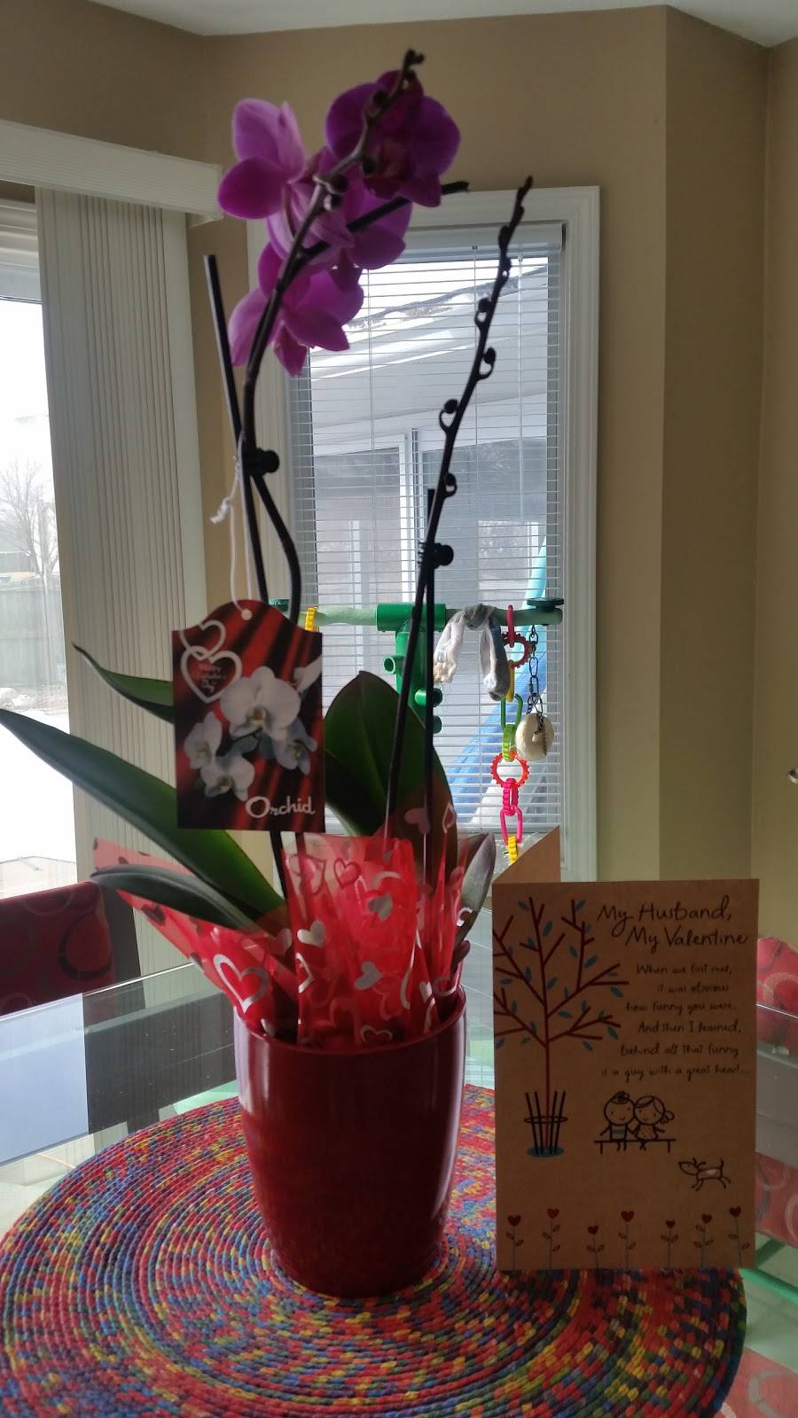 James Home Kitchen | restaurant | 2901 Chatham Rd, Springfield, IL 62704, USA | 2176792006 OR +1 217-679-2006