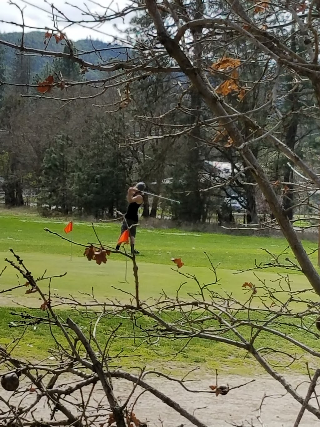 Laurel Hill Golf Course | restaurant | 9450 Old Stage Rd, Central Point, OR 97502, USA | 5418557965 OR +1 541-855-7965