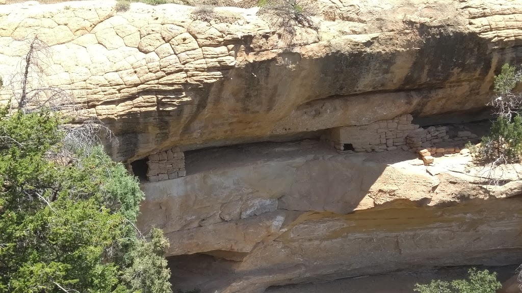 Ponderosa Restaurant | restaurant | 715 Railroad Ave, Dolores, CO 81323, USA | 9708827910 OR +1 970-882-7910