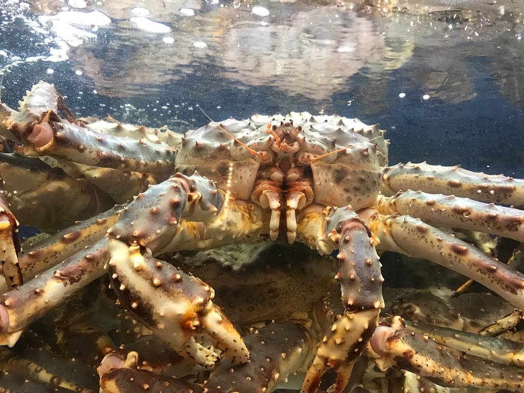 Yangs Fine Chinese Cuisine | restaurant | 9665 Bayview Ave, Richmond Hill, ON L4C 9V4, Canada | 9058843388 OR +1 905-884-3388