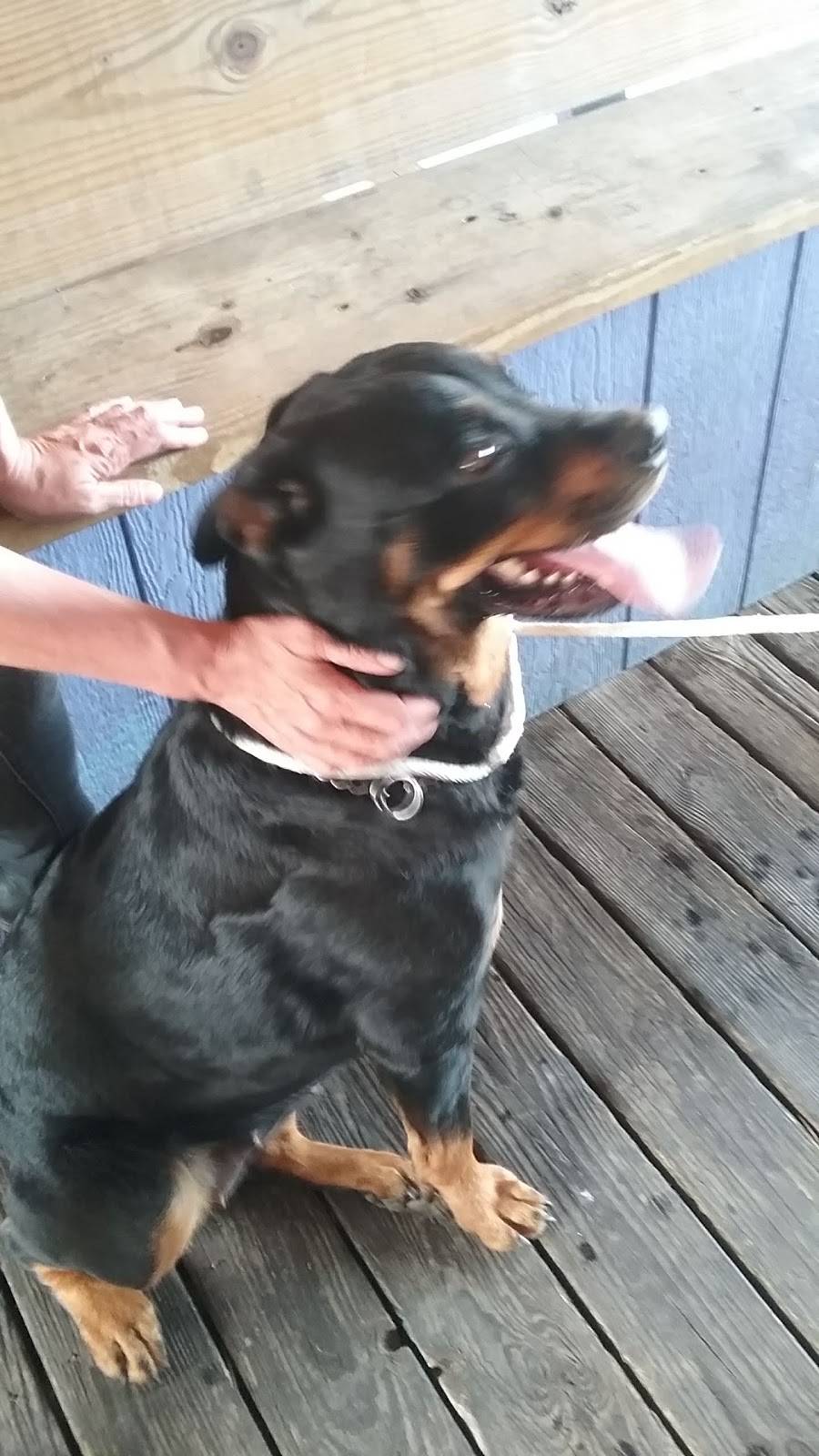 Allenport Marina |  | 1933 Main St #15, Allenport, PA 15412, USA | 7243264200 OR +1 724-326-4200