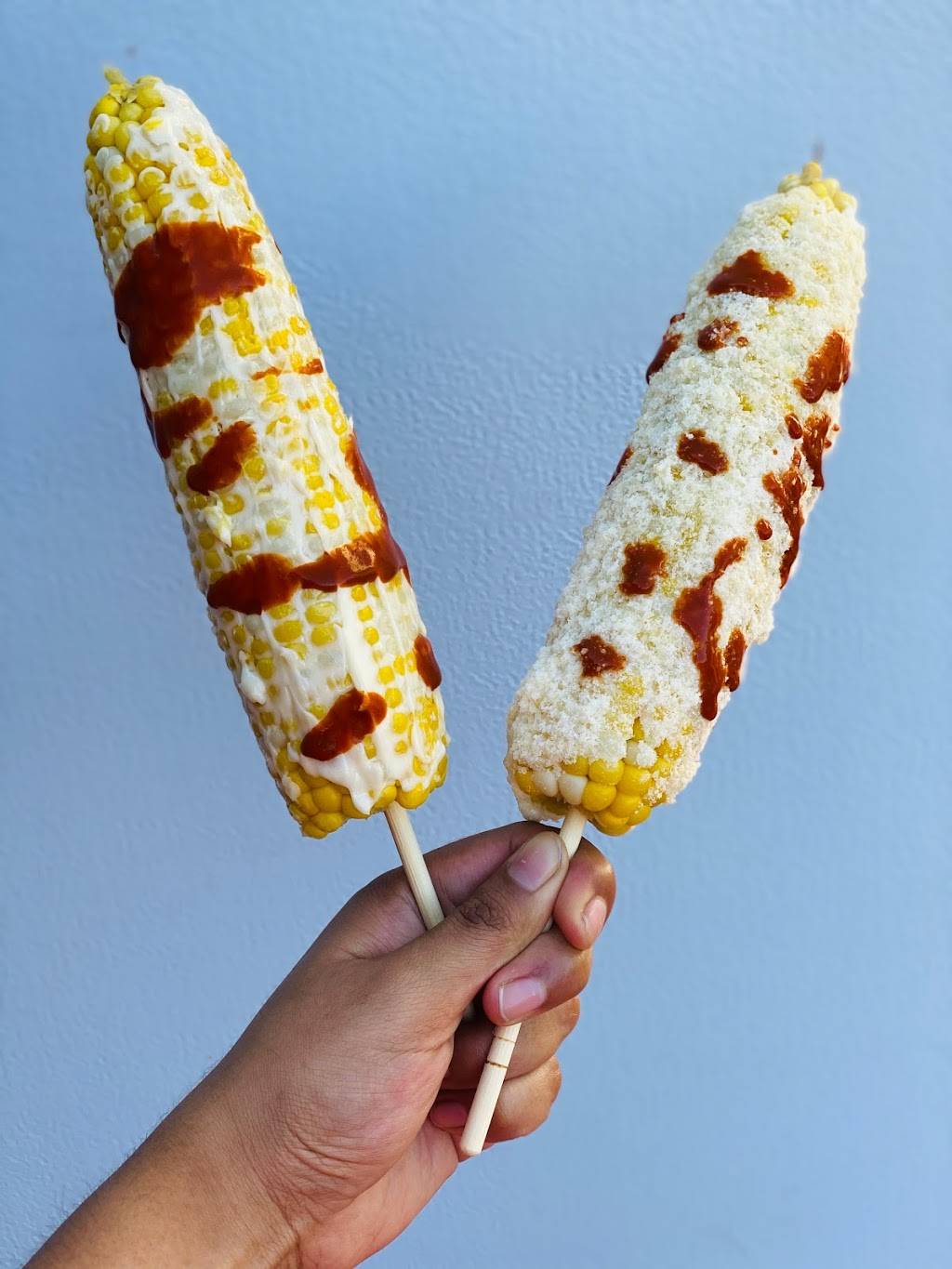 Gaviotas food | restaurant | 2209 E Bearss Ave, Tampa, FL 33613, USA | 8135851320 OR +1 813-585-1320