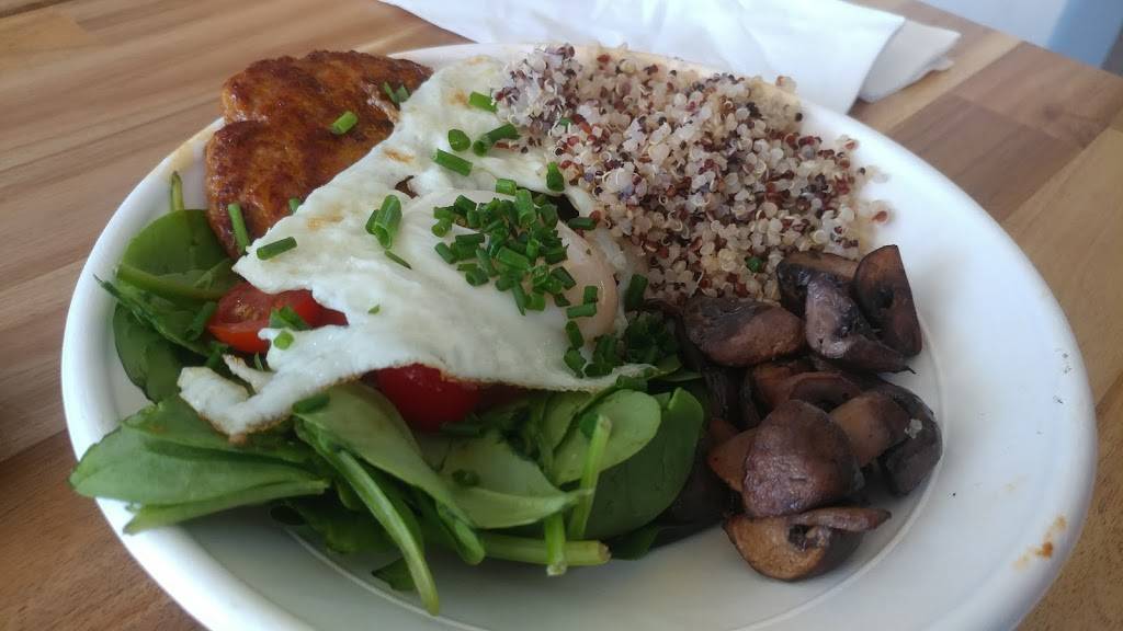 The Nest | restaurant | 2217 South Dale Mabry Highway, Tampa, FL 33629, USA | 8135126099 OR +1 813-512-6099