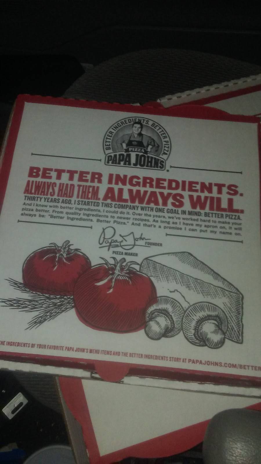 Papa Johns Pizza | restaurant | 2828 S McCall Rd Ste 101, Englewood, FL 34224, USA | 9414730100 OR +1 941-473-0100
