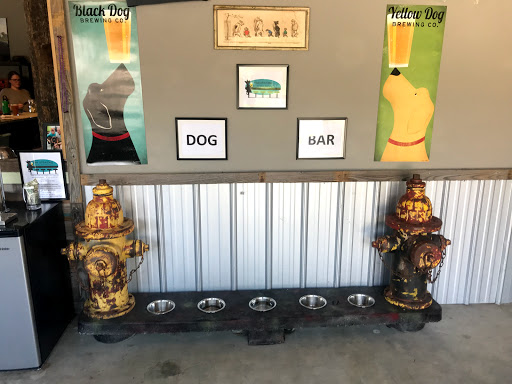 Eastpoint Beer Company | restaurant | 374 US-98, Eastpoint, FL 32328, USA | 8503700776 OR +1 850-370-0776