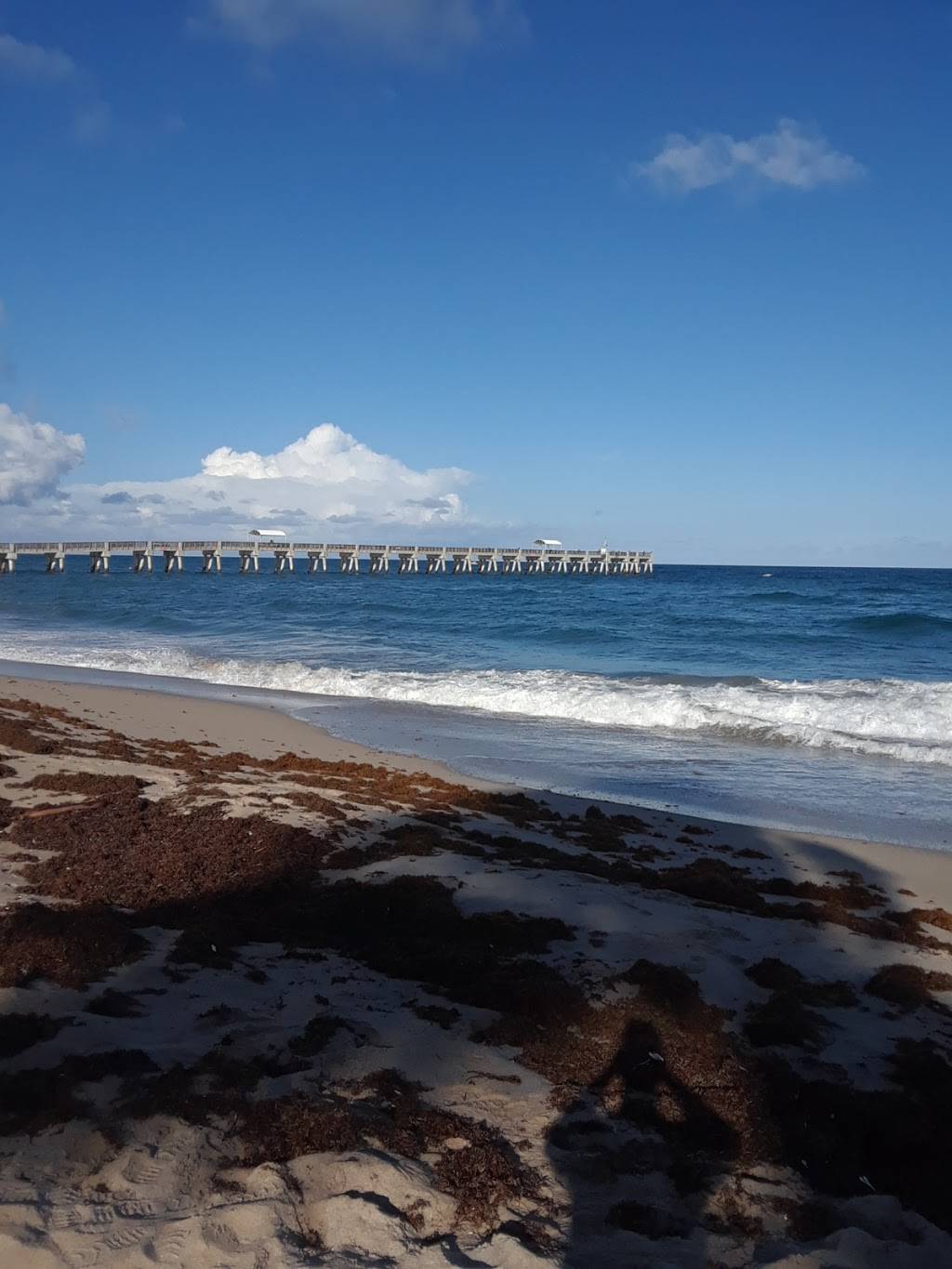 Restaurant El Limon | restaurant | 11 N H St, Lake Worth, FL 33460, USA | 5617916952 OR +1 561-791-6952