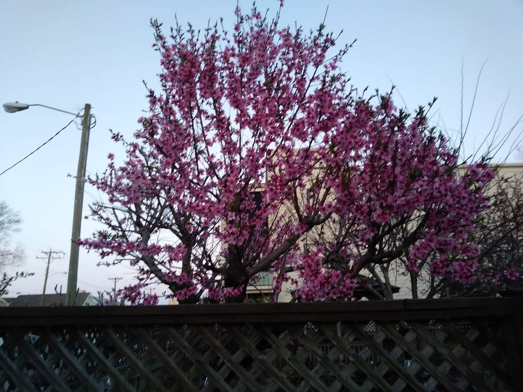 District | restaurant | 448 Green St, Portsmouth, VA 23704, USA | 7573370337 OR +1 757-337-0337