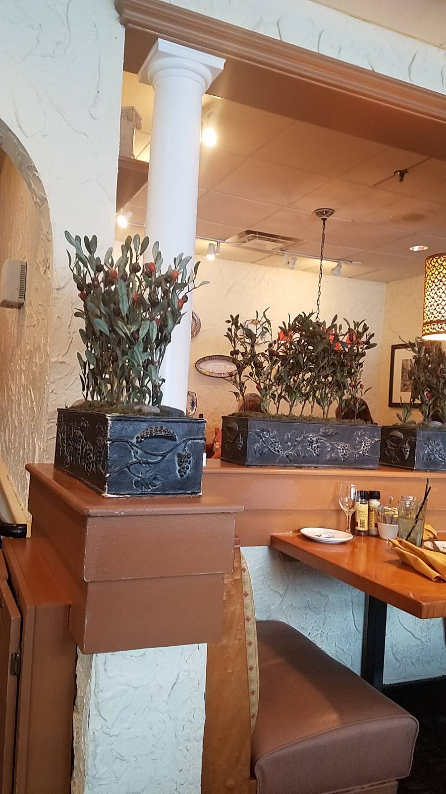 Olive Garden Italian Restaurant | meal takeaway | 480 Howe Ave, Cuyahoga Falls, OH 44221, USA | 3309282205 OR +1 330-928-2205