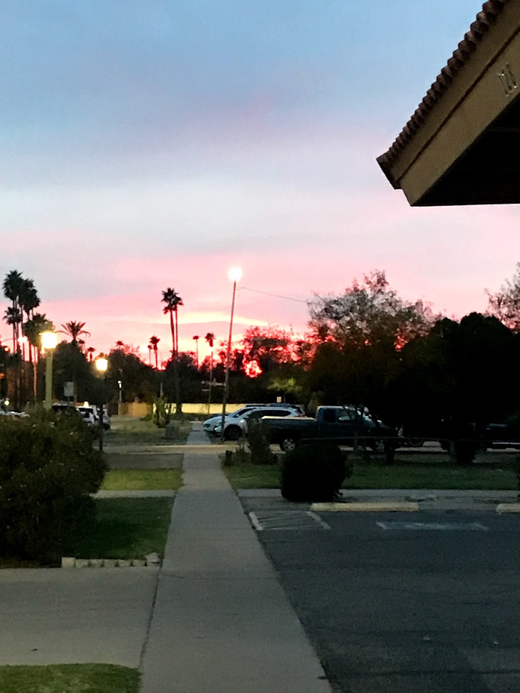 Paletas Betty | restaurant | 96 W Boston St #100, Chandler, AZ 85225, USA | 4807798148 OR +1 480-779-8148