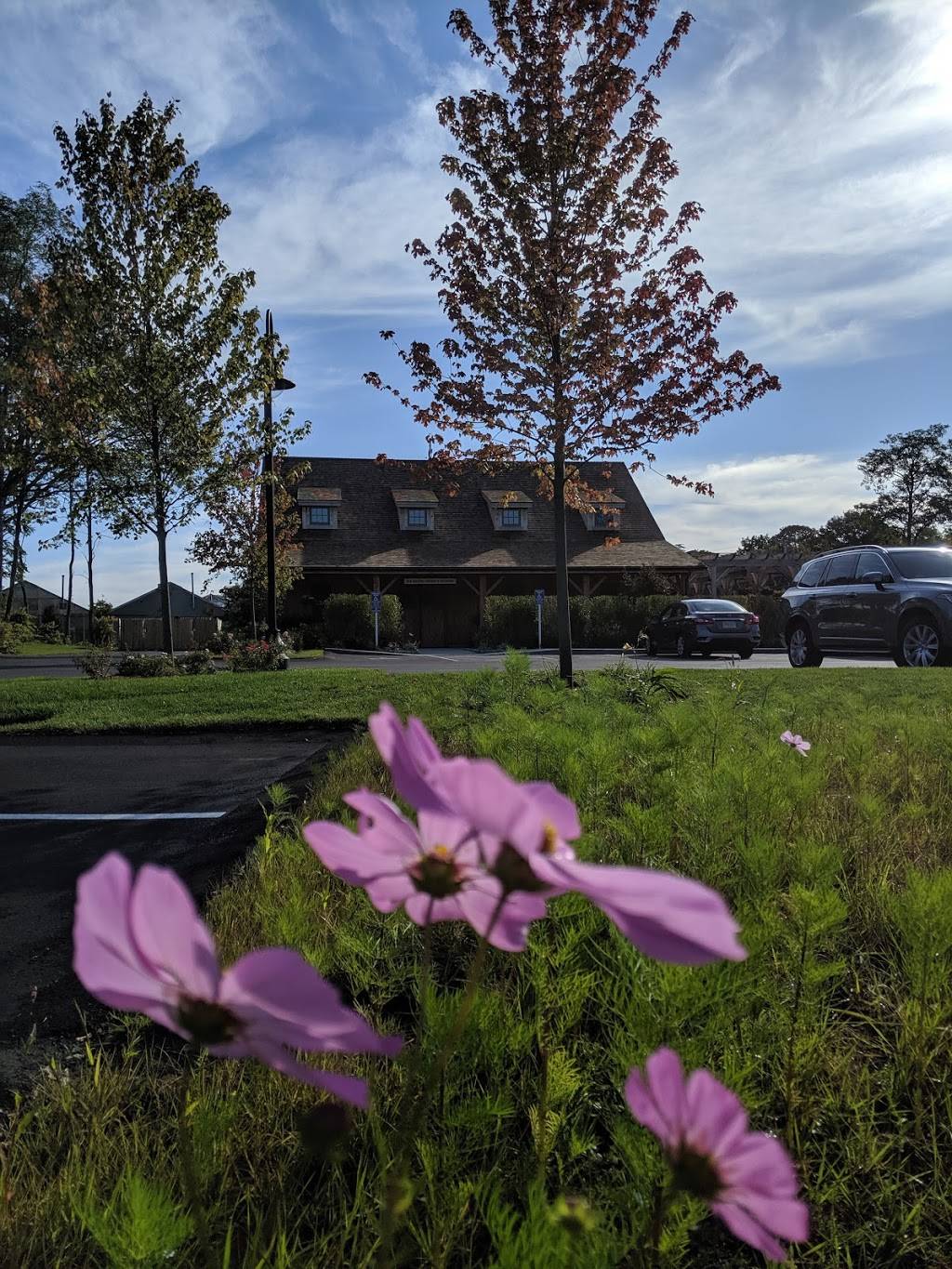 Bad Martha Farmers Brewery | restaurant | 876 E Falmouth Hwy, Falmouth, MA 02536, USA | 5084446571 OR +1 508-444-6571