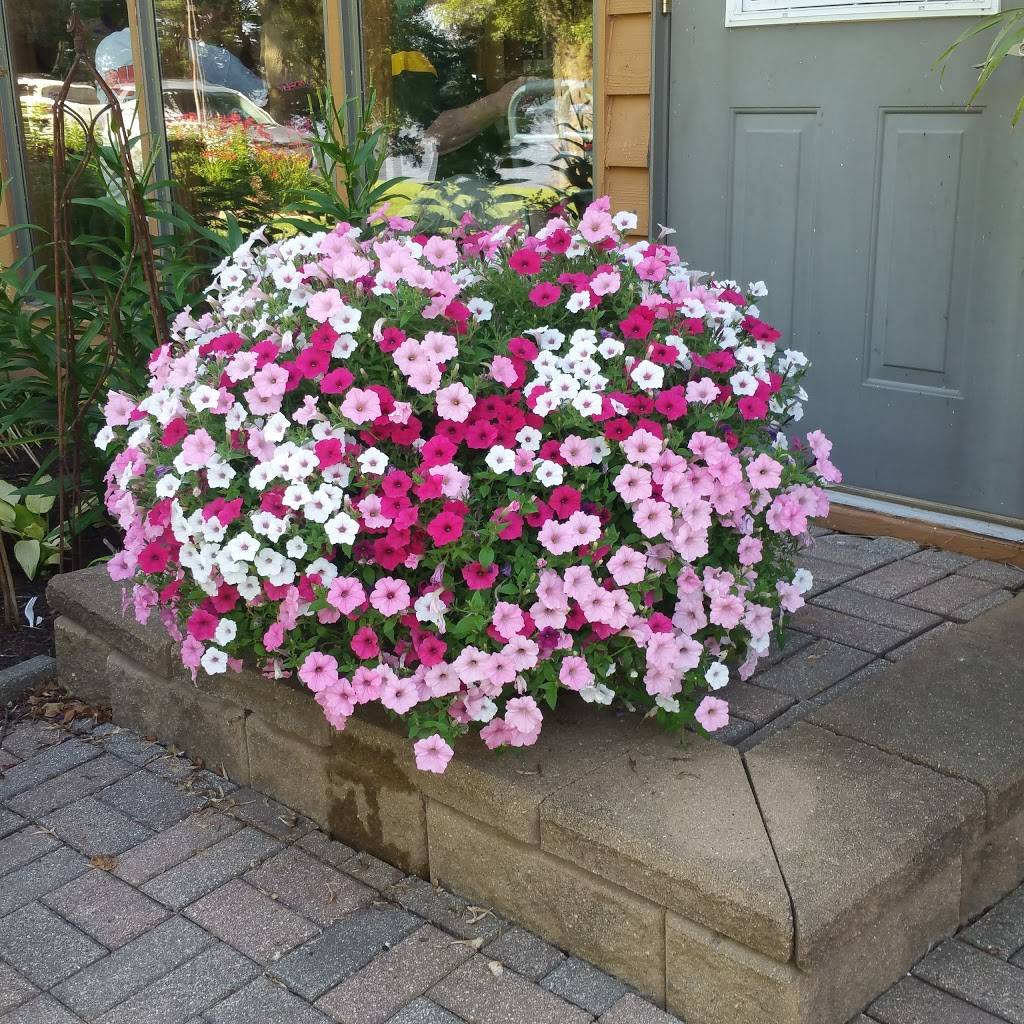 Spruce Harbor Inn | restaurant | 30579 400th Ave, Bellevue, IA 52031, USA | 5638725637 OR +1 563-872-5637