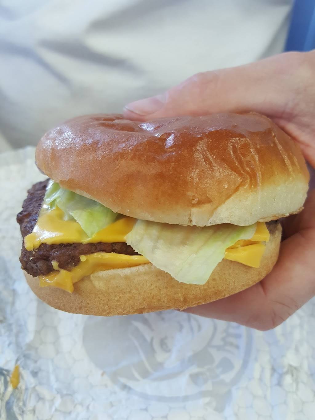 Wendys | restaurant | 3001 N Slappey Blvd, Albany, GA 31701, USA | 2294321999 OR +1 229-432-1999