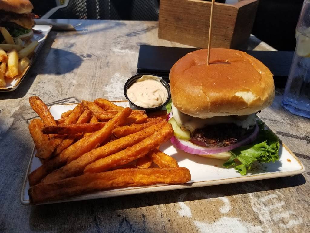 Bad Dog Sarnia | restaurant | 229 Christina St N, Sarnia, ON N7T 4C1, Canada | 5194917930 OR +1 519-491-7930