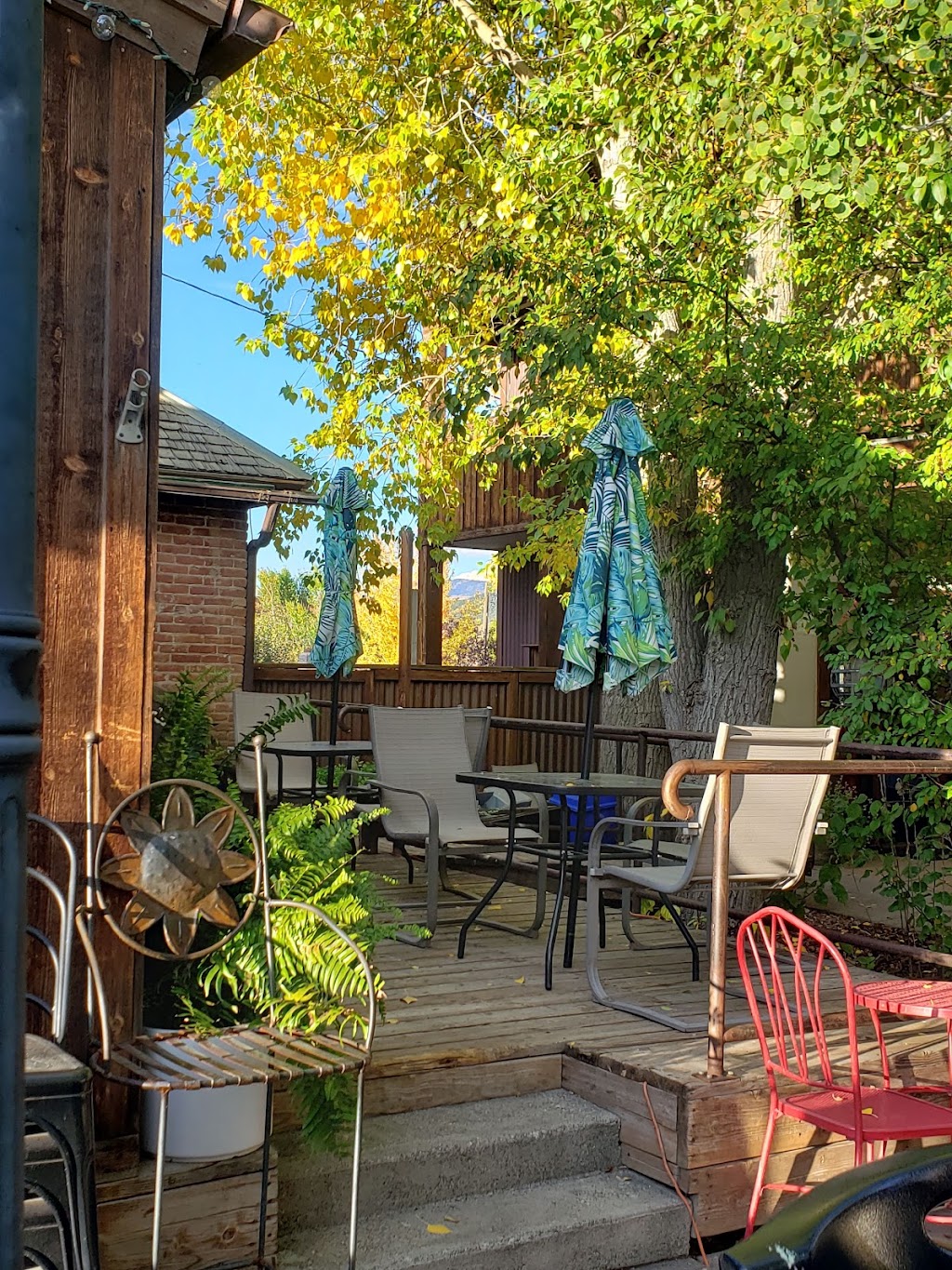 Thai Paradise | restaurant | 146/1North, 146 N Cora St, Ridgway, CO 81432, USA | 9703184580 OR +1 970-318-4580