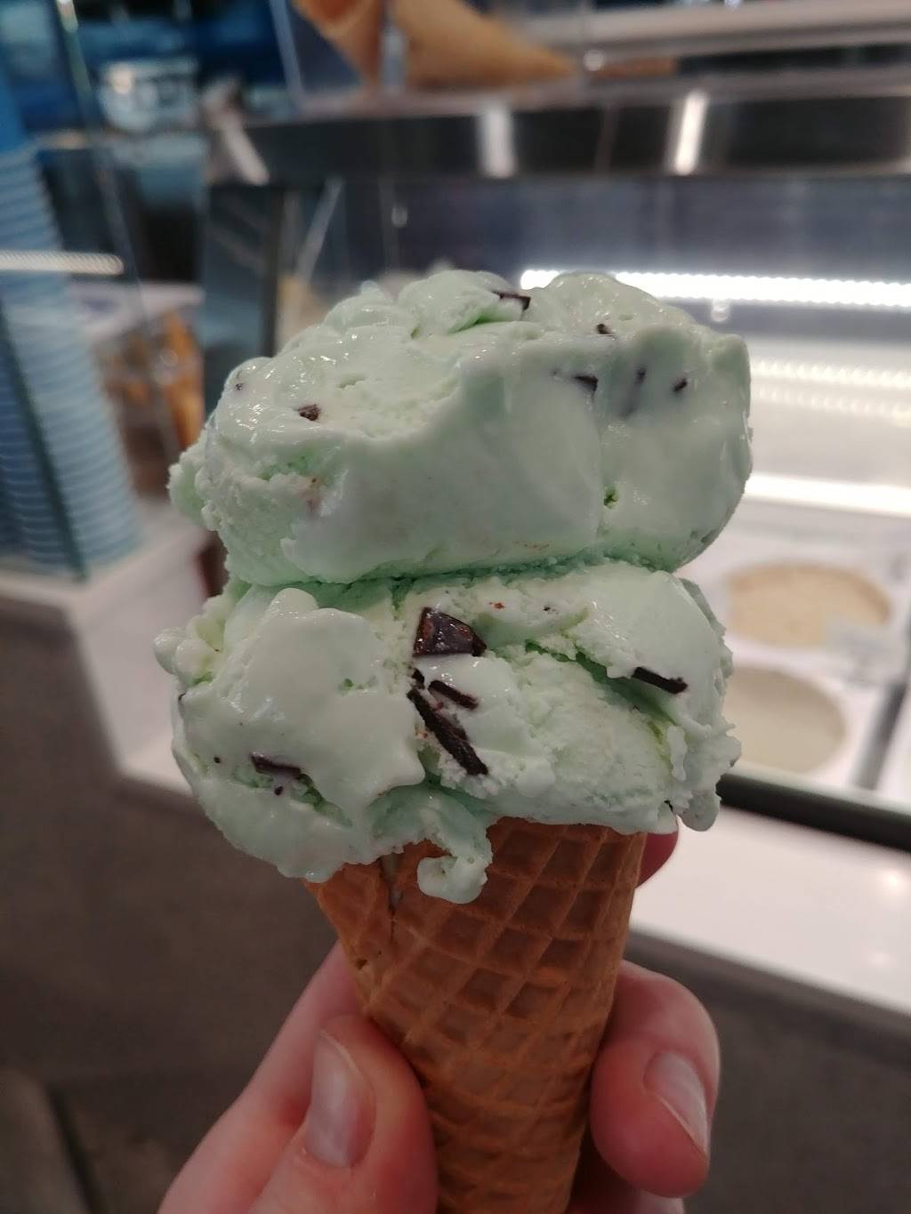 Local Chill Artisan Ice Cream | restaurant | 5140 Ocean Blvd, Siesta Key, FL 34242, USA | 9413887672 OR +1 941-388-7672