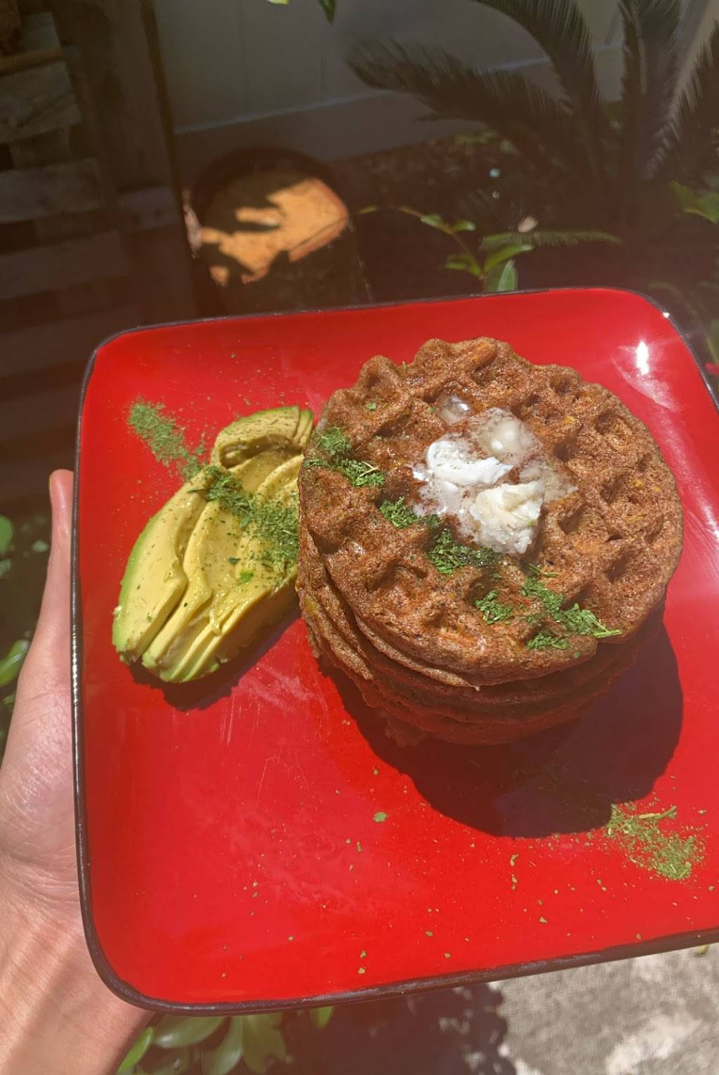 Shared Synergy | restaurant | 3631 University Blvd N Apt 4108, Jacksonville, FL 32277, USA | 9197175299 OR +1 919-717-5299