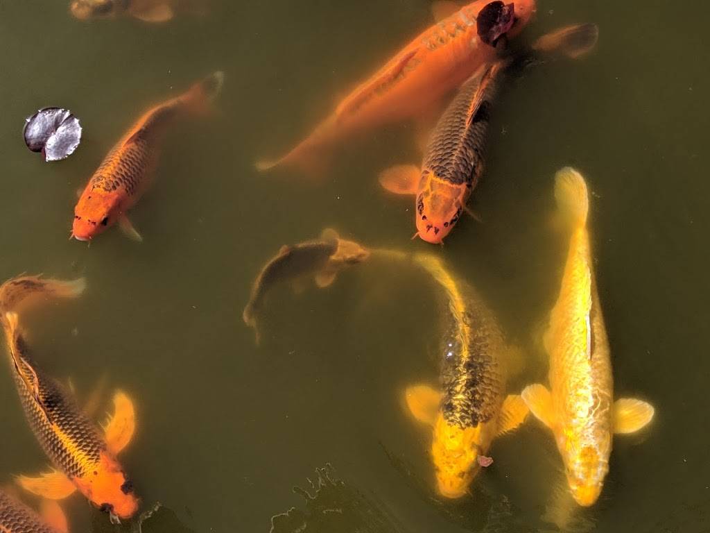 Thanksgiving Point Golf Club | restaurant | 3300 W Club House Dr, Lehi, UT 84043, USA | 8017687400 OR +1 801-768-7400