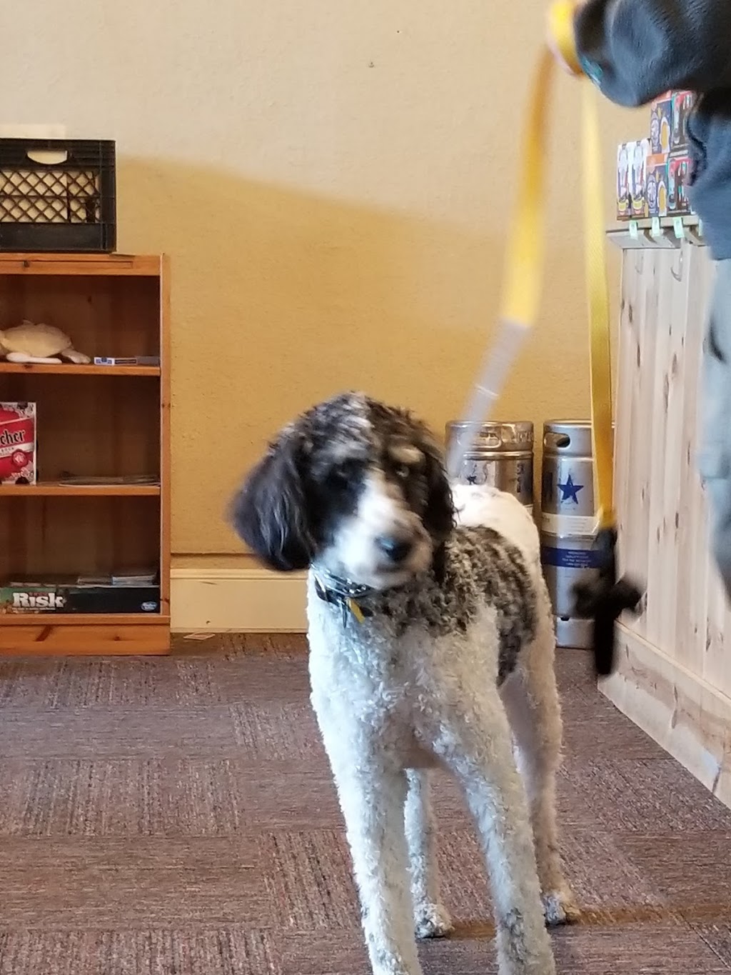 Whistlestop Bottleshop | restaurant | 17 N Main St, Wendell, NC 27591, USA | 9193666080 OR +1 919-366-6080