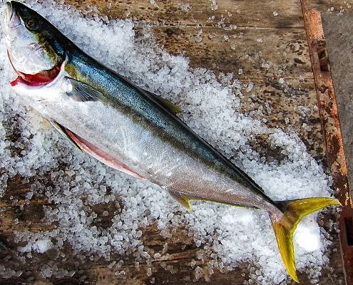 Rimels Rotisserie | restaurant | 1030 Torrey Pines Rd, La Jolla, CA 92037, USA | 8584546045 OR +1 858-454-6045