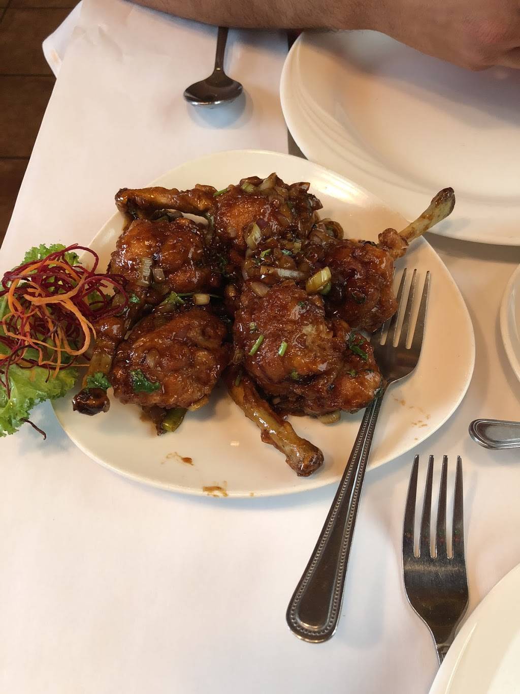 New Chilli & Curry | restaurant | 106 Woodbury Rd, Hicksville, NY 11801, USA | 5169329180 OR +1 516-932-9180