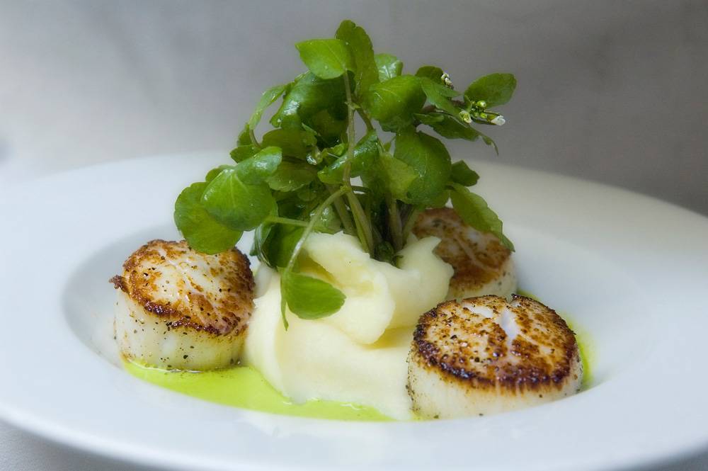 Frantoio Ristorante | restaurant | 152 Shoreline Hwy, Mill Valley, CA 94941, USA | 4152895777 OR +1 415-289-5777