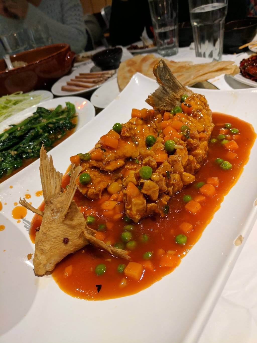 Dong Bei Restaurant | restaurant | 8400 Bellaire Blvd, Houston, TX 77036, USA | 7137509222 OR +1 713-750-9222