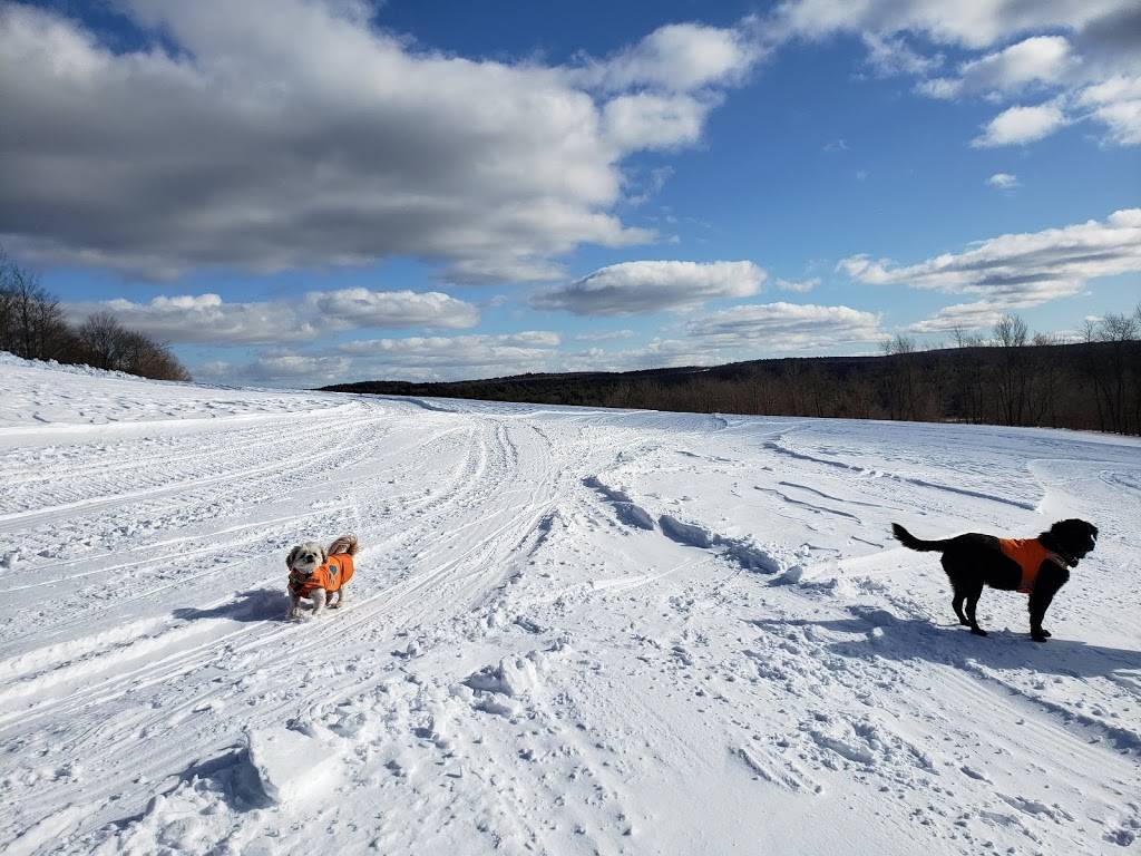 Maple Corner Farm | restaurant | 794 Beech Hill Rd, Granville, MA 01034, USA | 4133578829 OR +1 413-357-8829