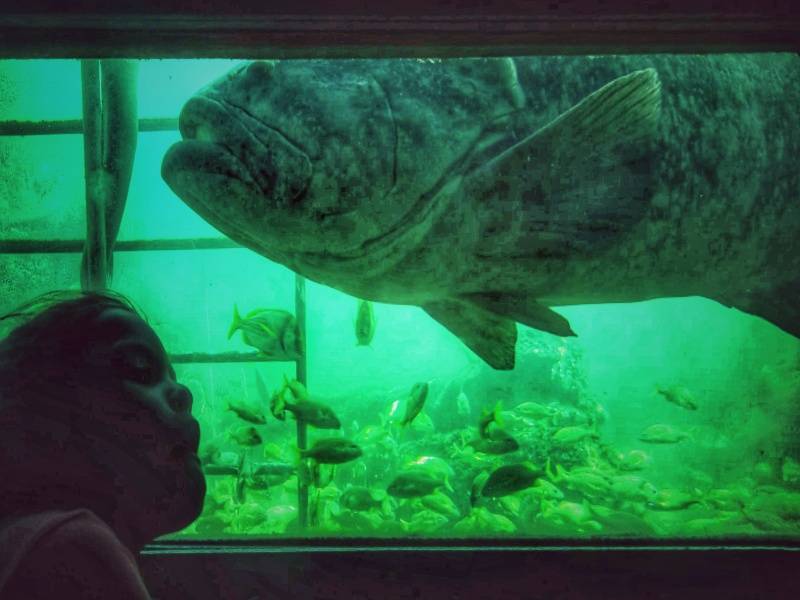 Seaquarium |  | 3979 Rickenbacker Causeway, Key Biscayne, FL 33149, USA | 3053615705 OR +1 305-361-5705