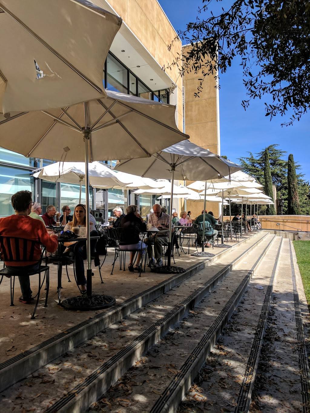 Cool Cafe | cafe | 328 Lomita Dr, Stanford, CA 94305, USA | 6507254758 OR +1 650-725-4758