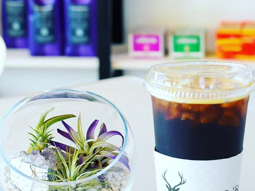 Lingonberry Coffee & Cafe | bakery | 4258 Northlake Blvd, Palm Beach Gardens, FL 33410, USA | 5613234680 OR +1 561-323-4680