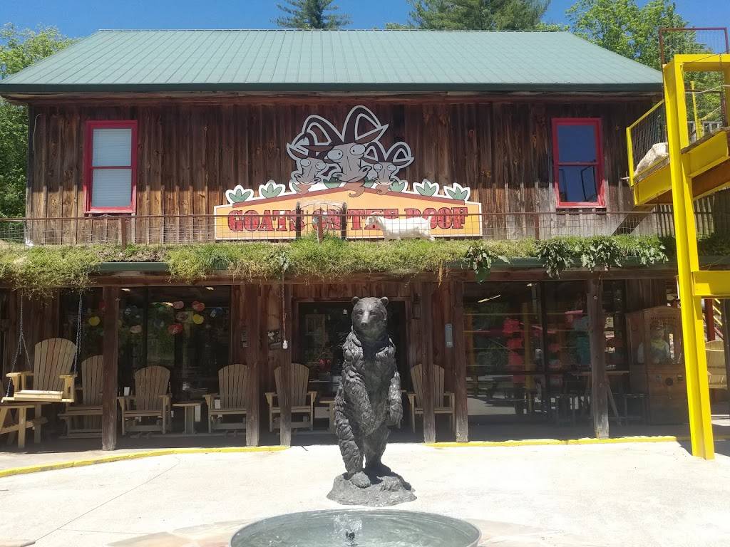 Goats On The Roof | restaurant | 3026 US-441, Tiger, GA 30576, USA | 7067822784 OR +1 706-782-2784