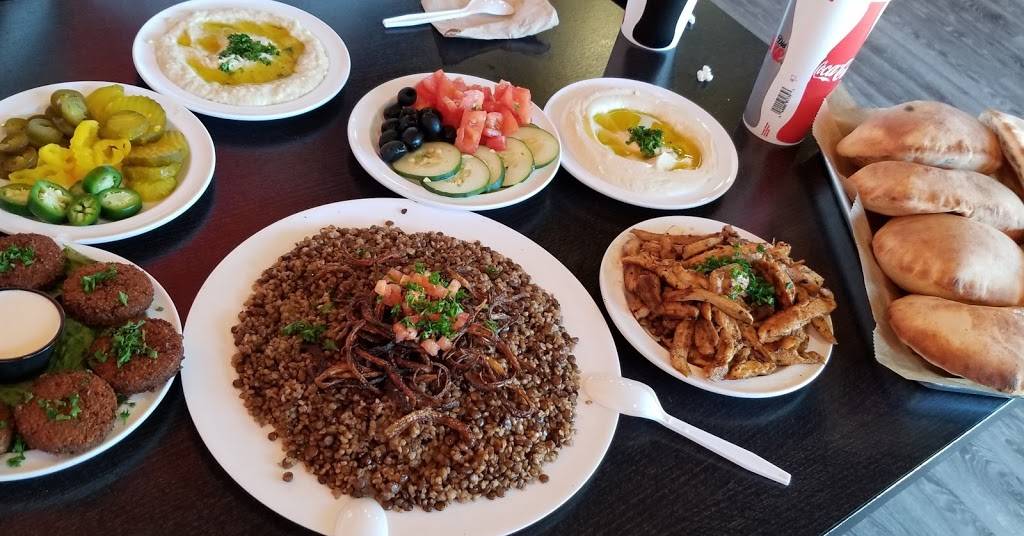 HUMMUS & Co. | restaurant | 23117 W Outer Dr, Allen Park, MI 48101, USA | 3137695557 OR +1 313-769-5557