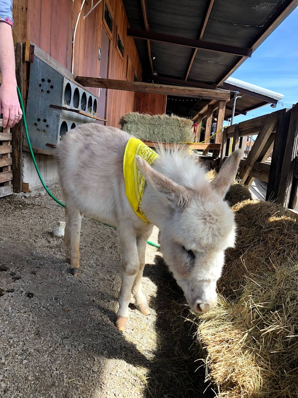 River Ranch Stockyards | restaurant | 500 NE 23rd St, Fort Worth, TX 76164, USA | 8176241111 OR +1 817-624-1111