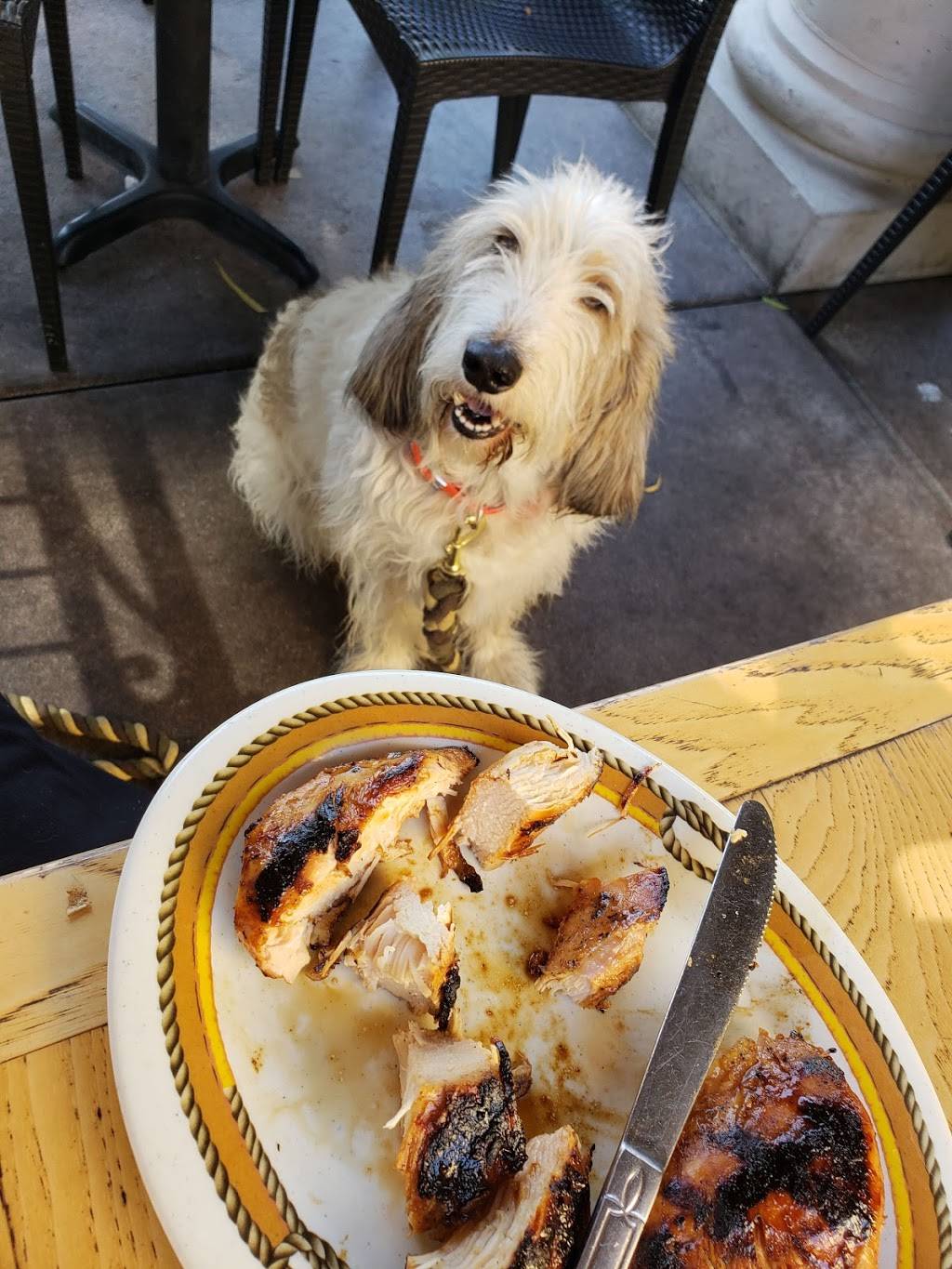 Bad to the Bone BBQ | restaurant | 31738 Rancho Viejo Rd, San Juan Capistrano, CA 92675, USA | 9492180227 OR +1 949-218-0227