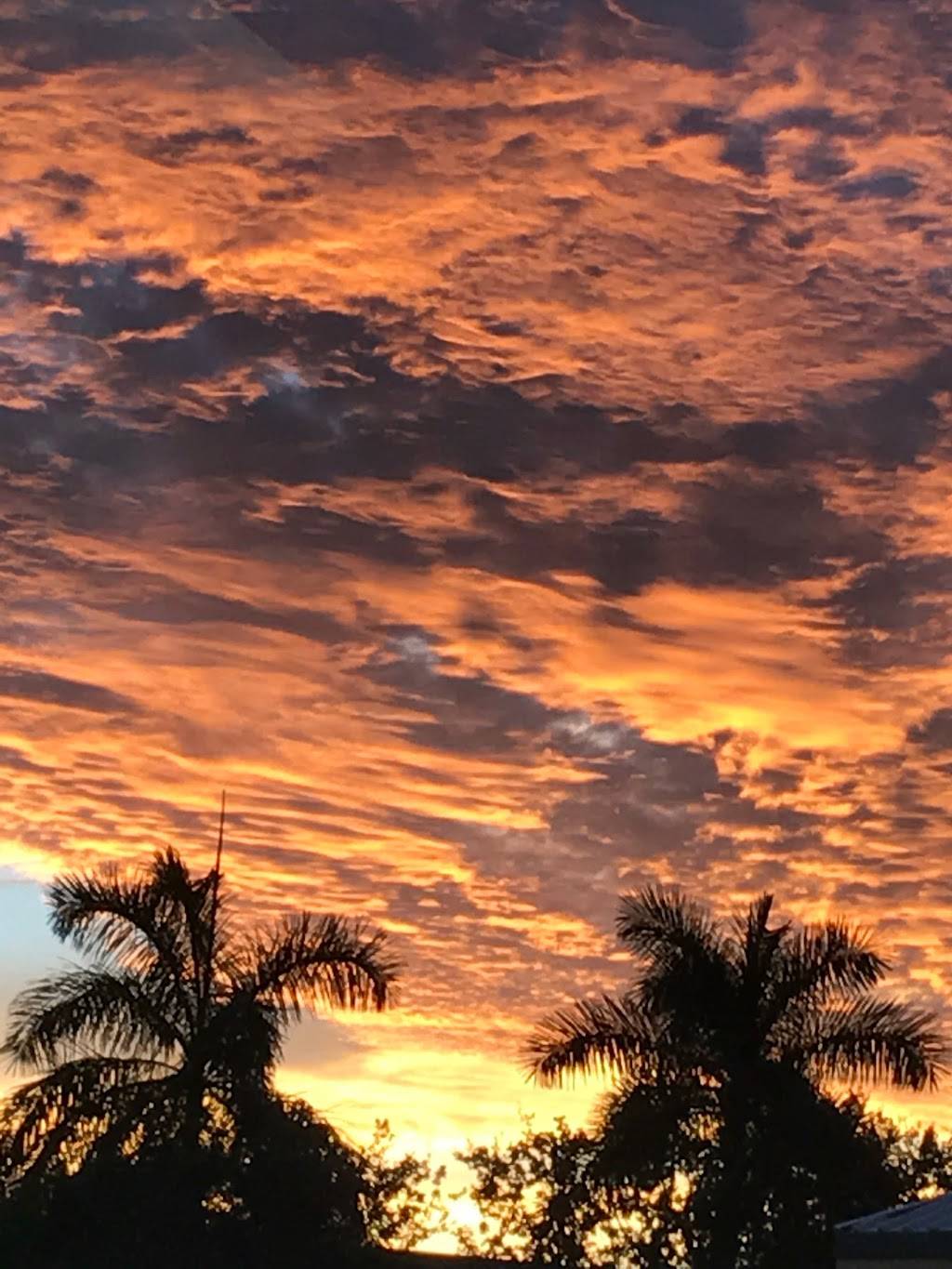 La Hormiga de oro Miami | restaurant | 239 Park Blvd, Miami, FL 33126, USA | 3054560123 OR +1 305-456-0123