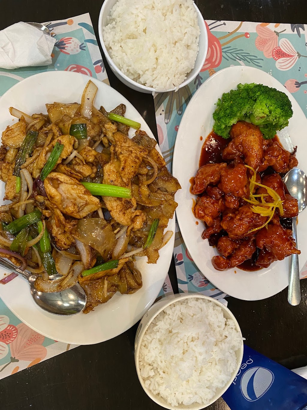 halal Hunan village | restaurant | 5900 Leesburg Pike, Falls Church, VA 22041, USA | 7035759000 OR +1 703-575-9000