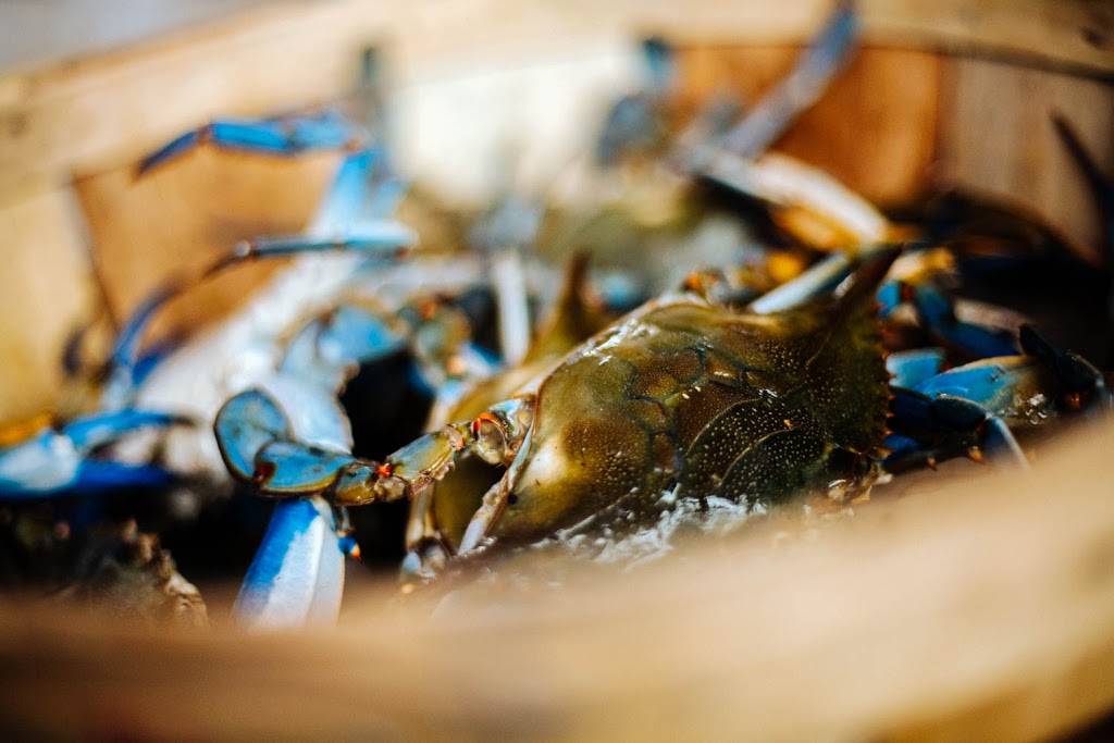 Seafood Market Sarasota | restaurant | 1038 N Washington Blvd, Sarasota, FL 34236, USA | 9415367153 OR +1 941-536-7153