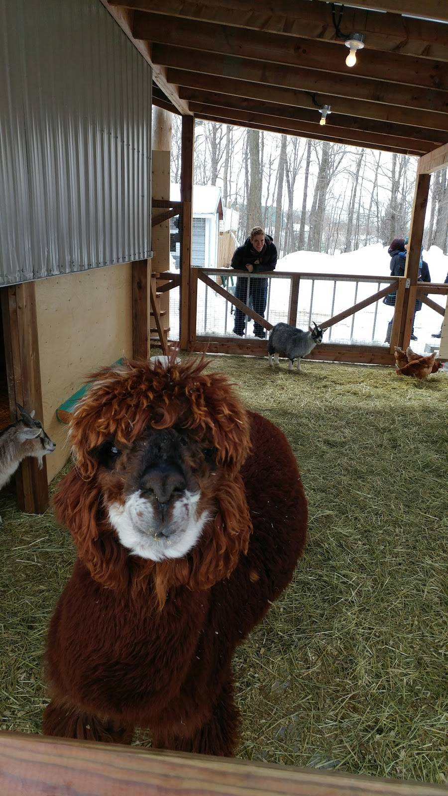 Domaine de lErable | restaurant | 5760 Rang des Érables, Saint-Hyacinthe, QC J2R 1X3, Canada | 8887993322 OR +1 888-799-3322