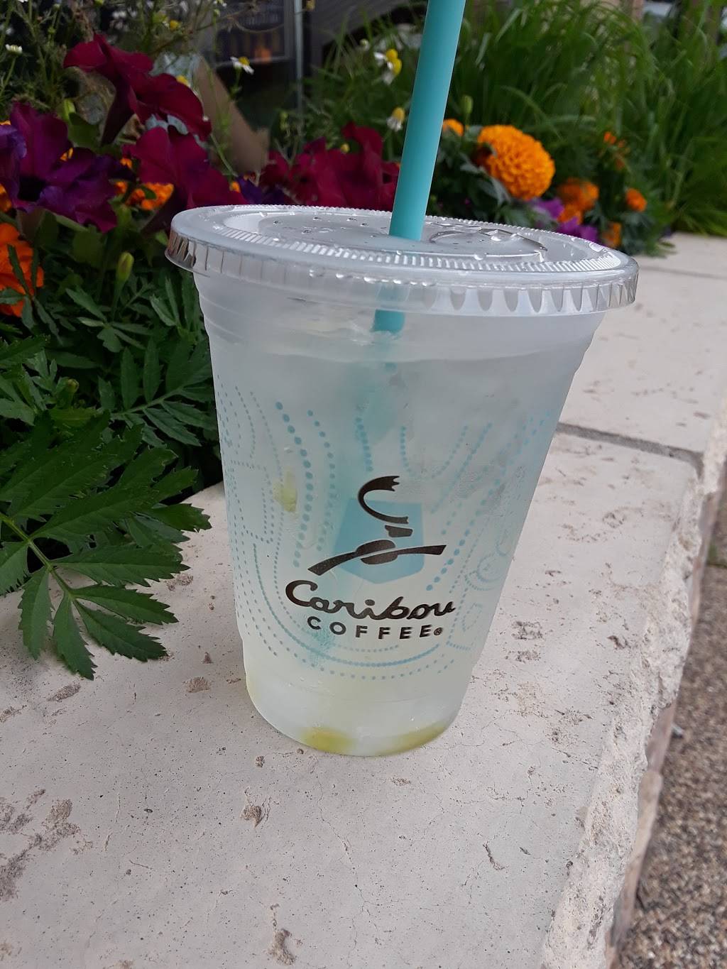 Caribou Coffee | cafe | 5551 W Lake St, St Louis Park, MN 55416, USA | 9529299536 OR +1 952-929-9536