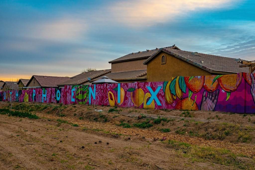 Healthy Roots Cafe | restaurant | 909 W Vineyard Rd A, Phoenix, AZ 85041, USA | 6029890590 OR +1 602-989-0590