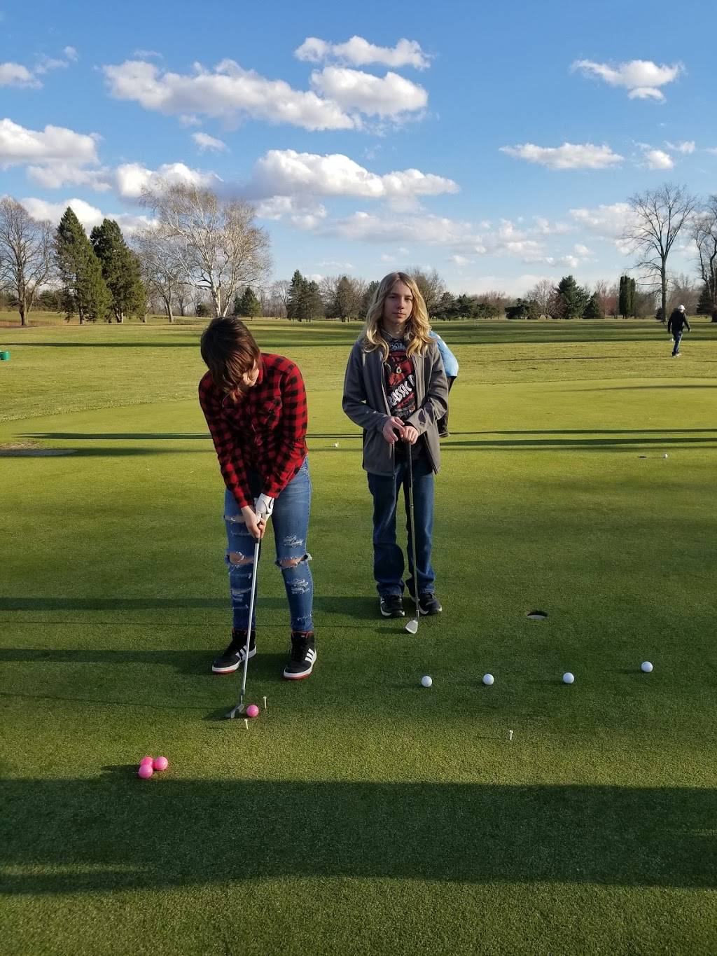 Marshall Country Club | restaurant | 151 Lyon Lake Rd, Marshall, MI 49068, USA | 2697811182 OR +1 269-781-1182