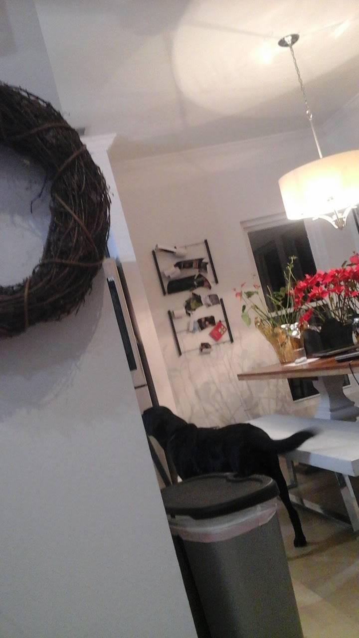 Subway Restaurants | restaurant | 9421 Mesa Dr, Houston, TX 77028, USA | 7136333132 OR +1 713-633-3132