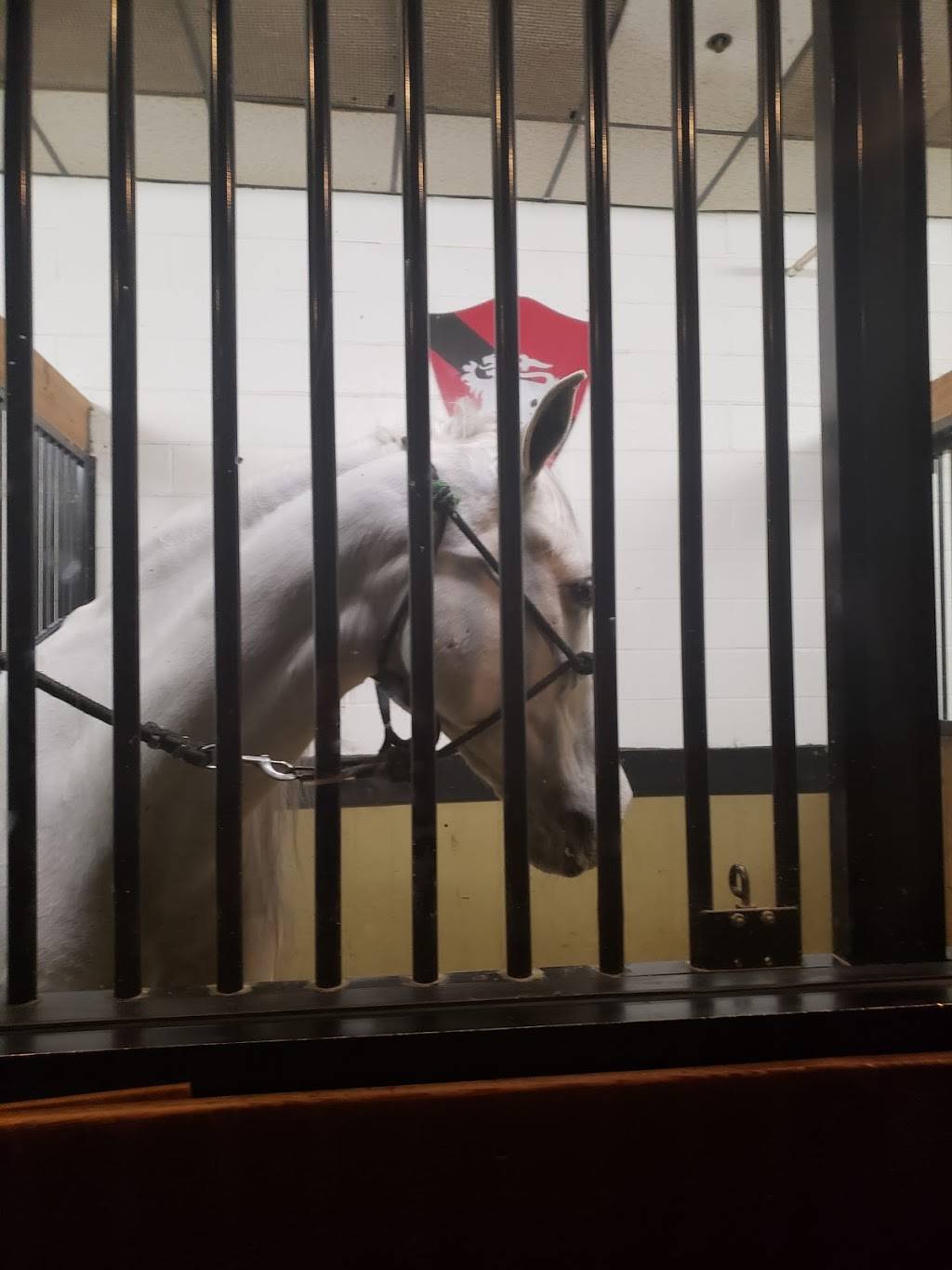 Medieval Times Dinner & Tournament | restaurant | 2021 N Stemmons Fwy, Dallas, TX 75207, USA | 2147611801 OR +1 214-761-1801