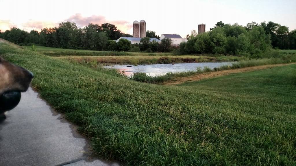 Shale Creek Golf Club | restaurant | 5420 Wolff Rd, Medina, OH 44256, USA | 3307238774 OR +1 330-723-8774